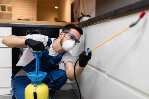 Wasp Removal Services in East Pasadena, CA